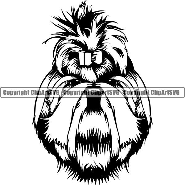Shih Tzu Dog Breed Head Face ClipArt SVG 008