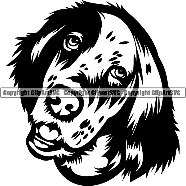 English Setter Dog Breed Head Face ClipArt SVG 003