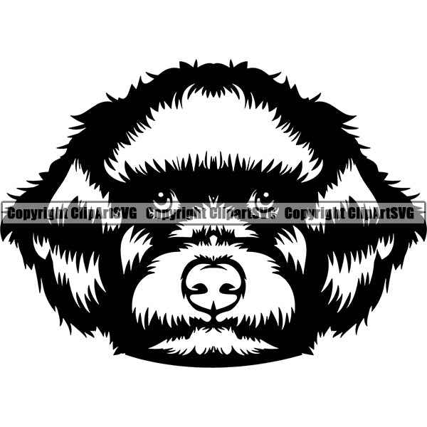 Lagotto Romagnolo Dog Breed Head Face ClipArt SVG 003