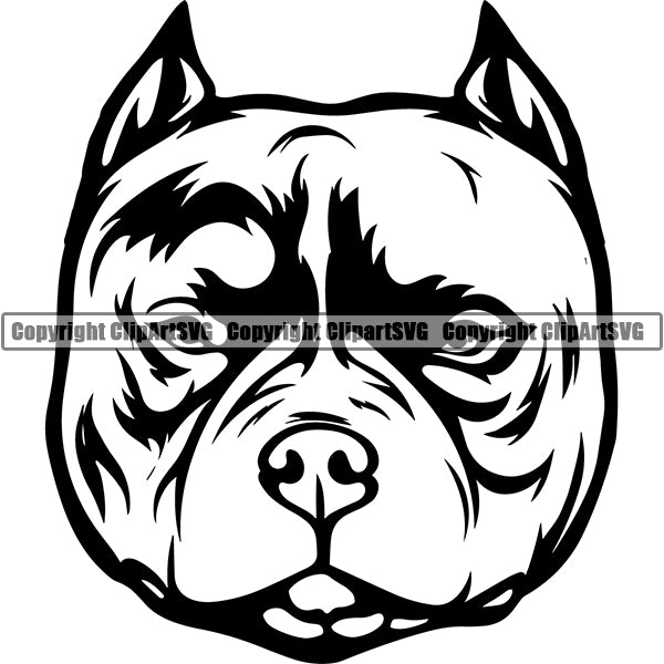 Pit Bull Dog Breed Head Face ClipArt SVG 017