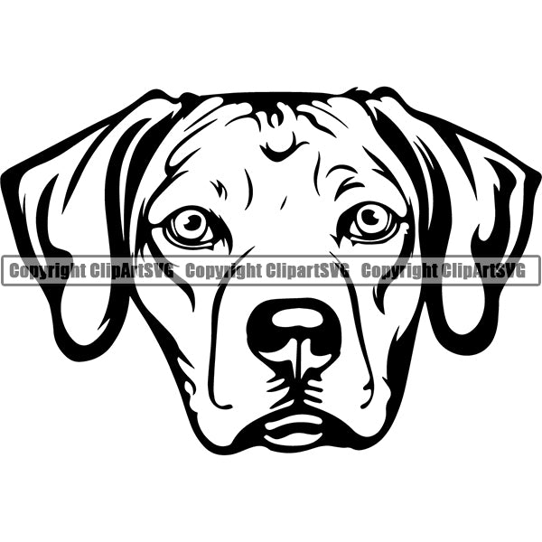 Rhodesian Ridgeback Dog Breed Head Face ClipArt SVG 004