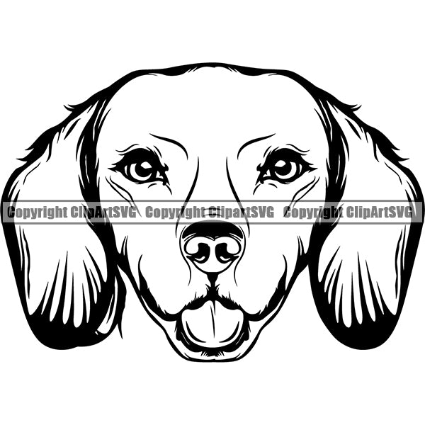 Animal Dog Dachshund Dog Breed Head Face ClipArt SVG 007