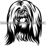 Lhasa Apso Dog Breed Head Face ClipArt SVG 002