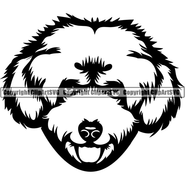 Maltipoo Dog Breed Head Face ClipArt SVG 003