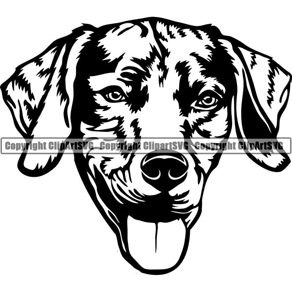 Weimaraner Dog Breed Head Face ClipArt SVG 007