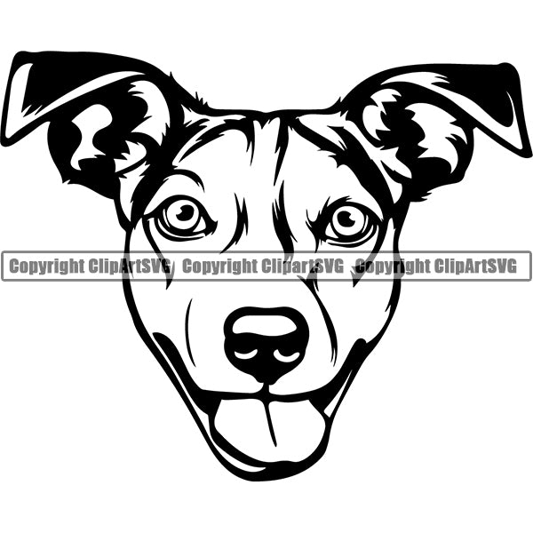 Jack Russell Terrier Dog Breed Head Face ClipArt SVG 003