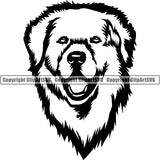 Kuvasz Dog Breed Head Face ClipArt SVG 001