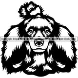 Poodle Dog Breed Head Face ClipArt SVG 005