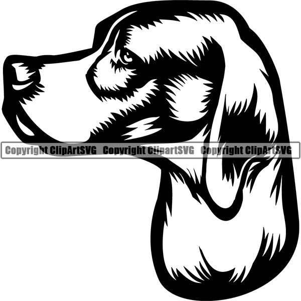 English Pointer Dog Breed Head Face ClipArt SVG 001