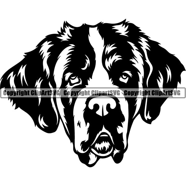 Saint Bernard Dog Breed Head Face ClipArt SVG 002