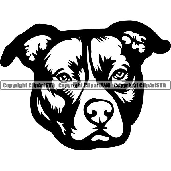 Pit Bull Dog Breed Head Face ClipArt SVG 010