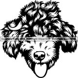 Poodle Dog Breed Head Face ClipArt SVG 006