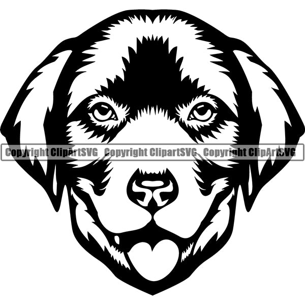 Labrador Retriever Dog Breed Head Face ClipArt SVG 002