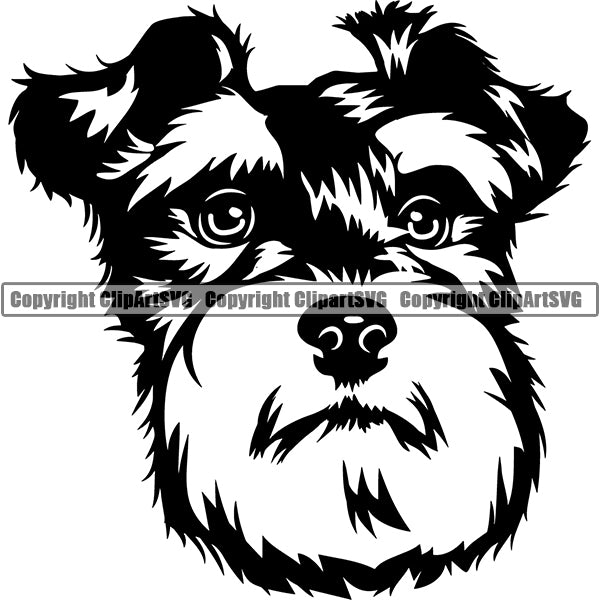 Schnauzer Dog Breed Head Face ClipArt SVG 007