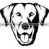 Labrador Retriever Dog Breed Head Face ClipArt SVG