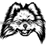 Pomeranian Dog Breed Head Face ClipArt SVG 003