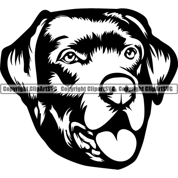 Labrador Retriever Dog Breed Head Face ClipArt SVG 008