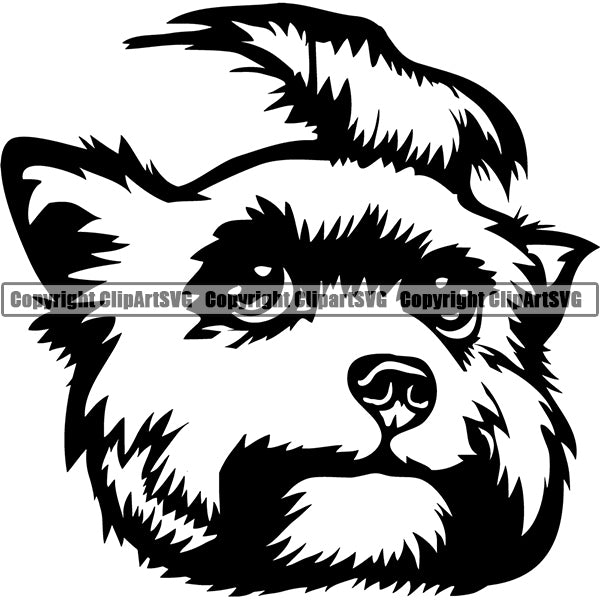 Yorkshire Terrier Dog Breed Head Face ClipArt SVG 001