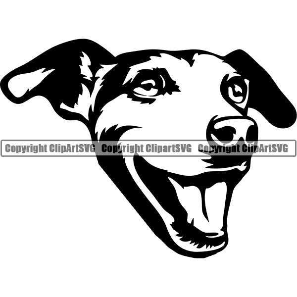 Jack Russell Terrier Dog Breed Head Face ClipArt SVG 012