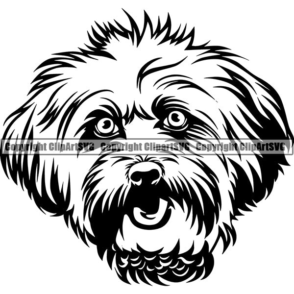 Lhasa Apso Dog Breed Head Face ClipArt SVG 003