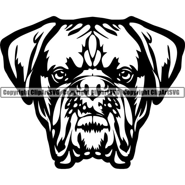 Animal Dog Dogue De Bordeaux Dog Breed Head Face ClipArt SVG 003