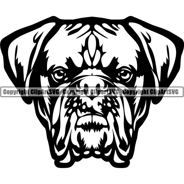 Animal Dog Dogue De Bordeaux Dog Breed Head Face ClipArt SVG 003