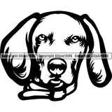 Weimaraner Dog Breed Head Face ClipArt SVG 005