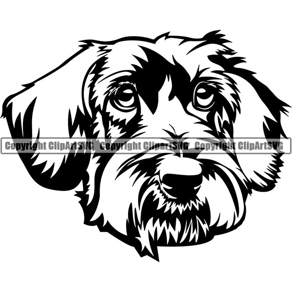 Animal Dog Dachshund Dog Breed Head Face ClipArt SVG 010