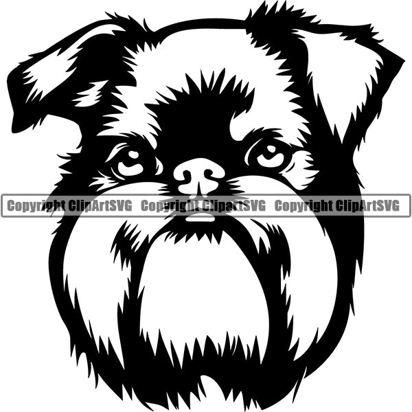 Griffon Bruxellois Dog Breed Head Face ClipArt SVG 001