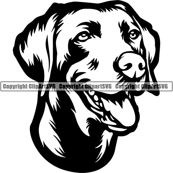 Weimaraner Dog Breed Head Face ClipArt SVG 004