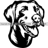 Weimaraner Dog Breed Head Face ClipArt SVG 004