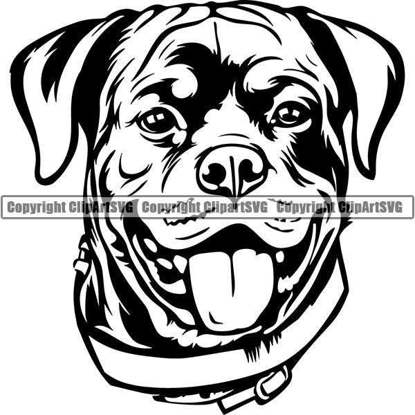 Rottweiler Dog Breed Head Face ClipArt SVG 004
