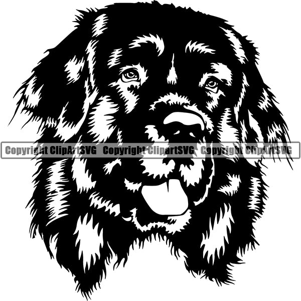 Newfoundland Dog Breed Head Face ClipArt SVG 004