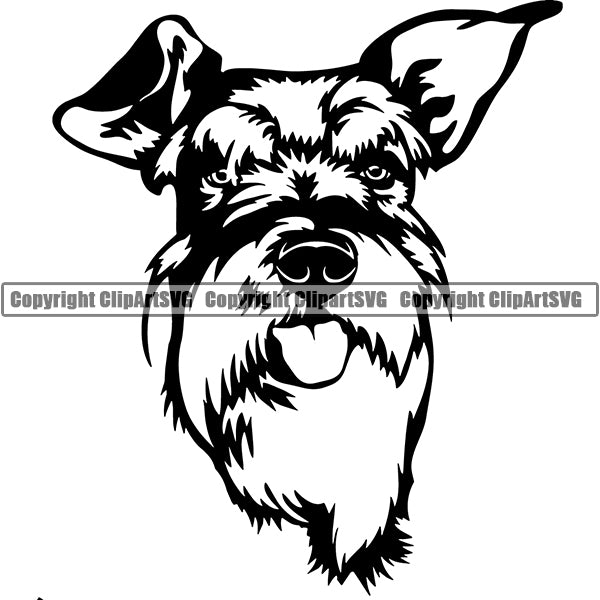 Schnauzer Dog Breed Head Face ClipArt SVG 005