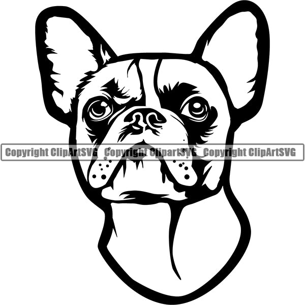 French Bulldog Dog Breed Head Face ClipArt SVG 001