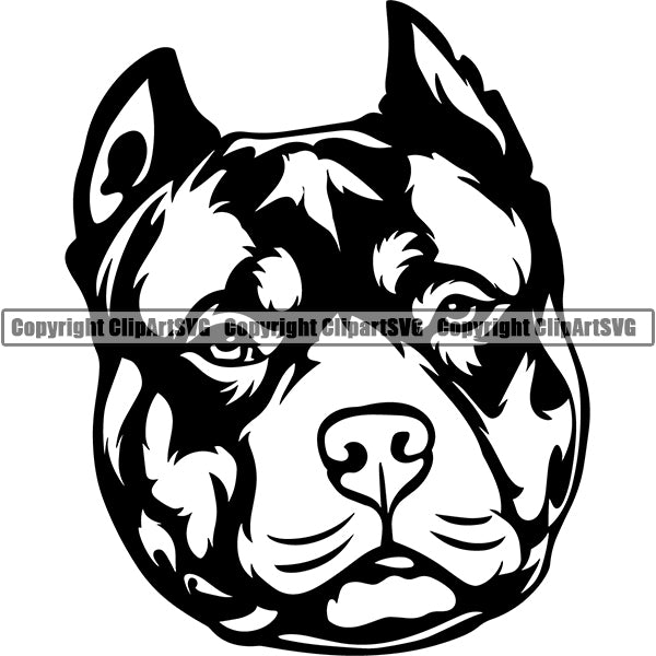 Pit Bull Dog Breed Head Face ClipArt SVG 021