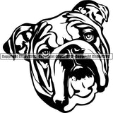 Animal Dog English Bulldog Dog Breed Head Face ClipArt SVG 016