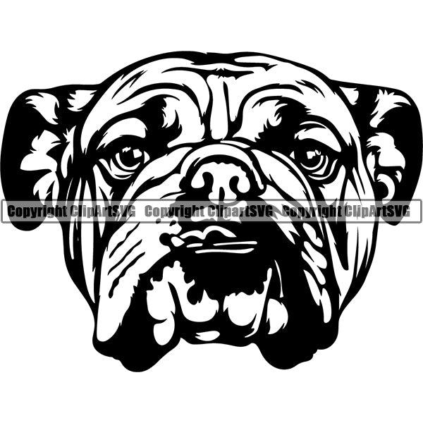Animal Dog English Bulldog Dog Breed Head Face ClipArt SVG 007