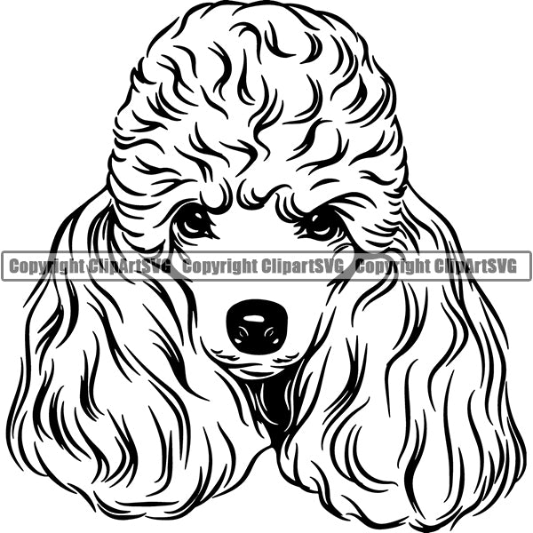 Poodle Dog Breed Head Face ClipArt SVG 004