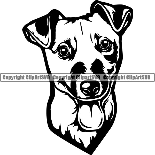Jack Russell Terrier Dog Breed Head Face ClipArt SVG 009