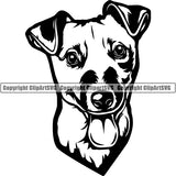 Jack Russell Terrier Dog Breed Head Face ClipArt SVG 009
