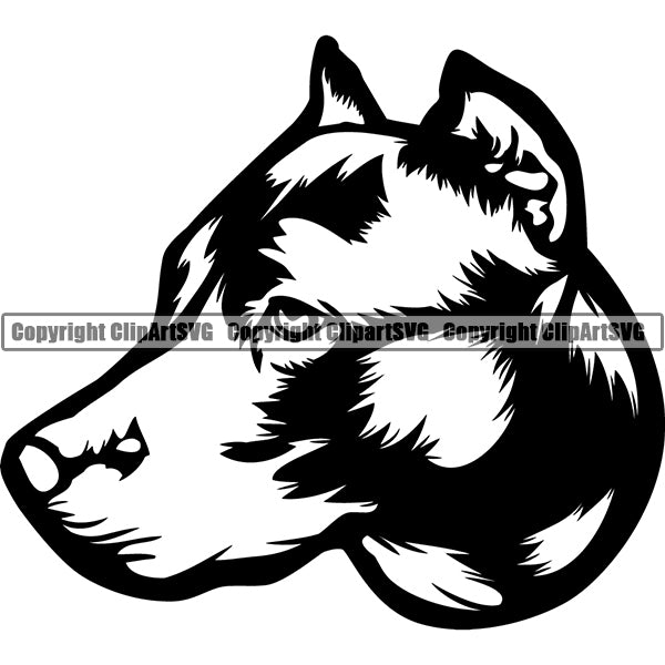 Pit Bull Dog Breed Head Face ClipArt SVG 009