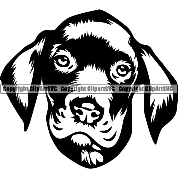 Great Dane Dog Breed Head Face ClipArt SVG 002
