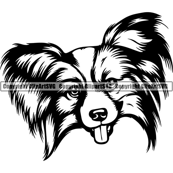 Papillon Dog Breed Head Face ClipArt SVG 003