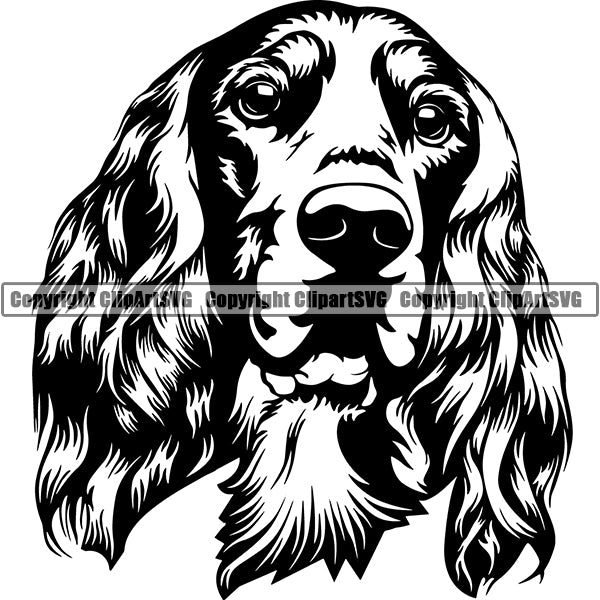 English Springer Spaniel Dog Breed Head Face ClipArt SVG 001