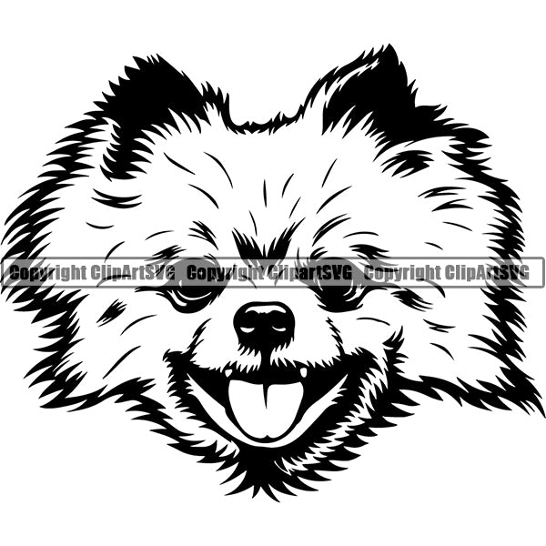Pomeranian Dog Breed Head Face ClipArt SVG 007