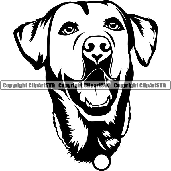 Labrador Retriever Dog Breed Head Face ClipArt SVG 003