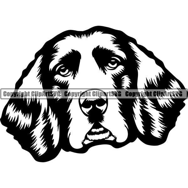 English Springer Spaniel Dog Breed Head Face ClipArt SVG 006