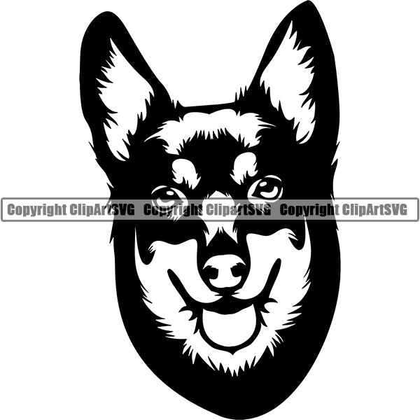 Lancashire Heeler Dog Breed Head Face ClipArt SVG 001