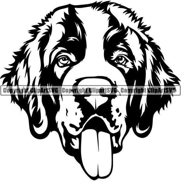 Saint Bernard Dog Breed Head Face ClipArt SVG 001